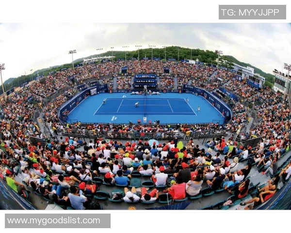 南京网球队边路渗透战术解析与深度剖析网球竞技的魅力与挑战