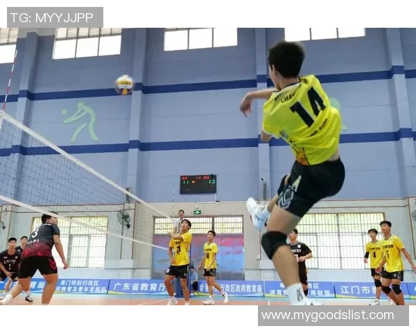 广州排球队的速度揭秘：排球巨献带你领略竞技魅力与团队精神